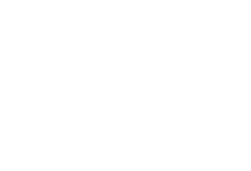 zolomaso-banner